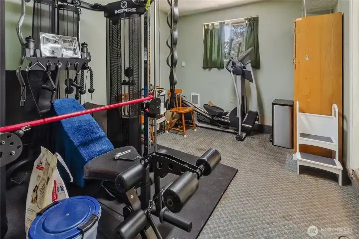 Bonus could be used as office media room also