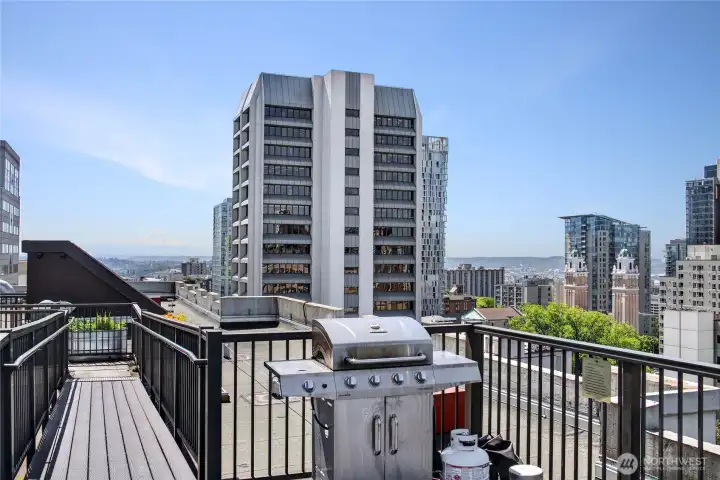 Gorgeous views abound from the rooftop deck.