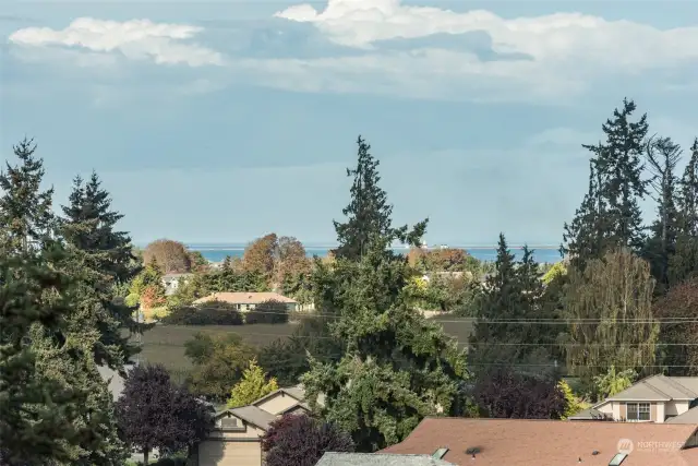 Filtered Views Strait of Juan de Fuca