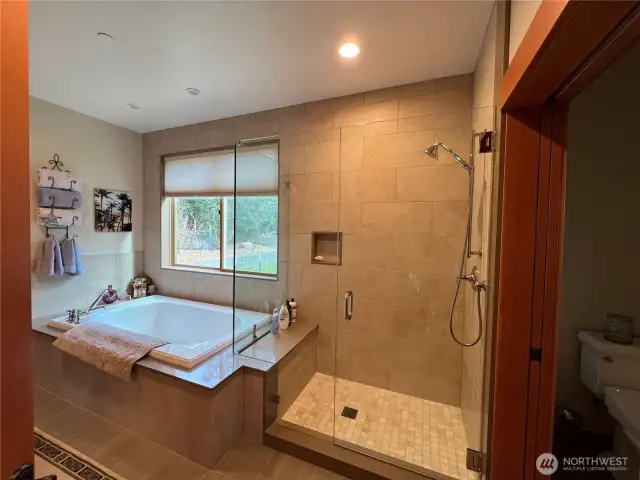 Guest Tub Shower Main