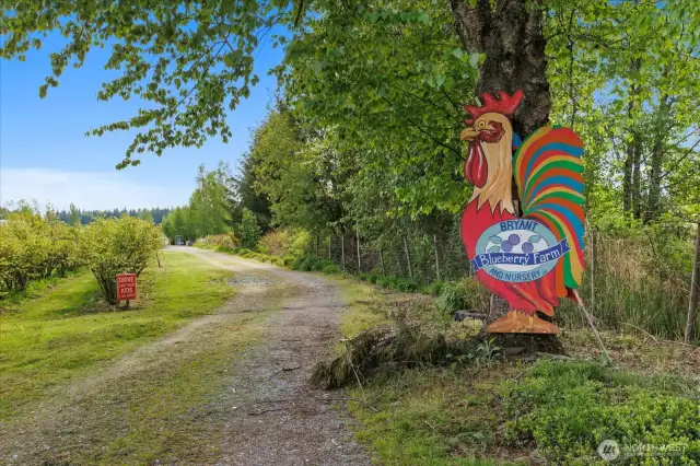 Welcome to the farm
