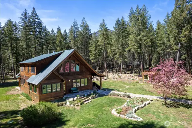 Lush oasis in the quiet pines