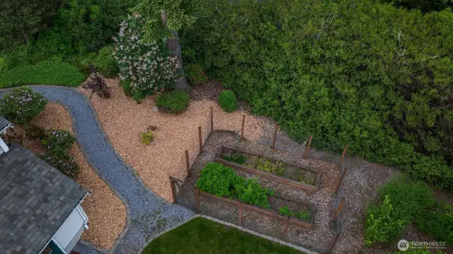 This aerial view highlights the thoughtfully designed garden area, complete with raised beds enclosed by fencing to protect your crops from local wildlife. The gravel path and surrounding mulch keep the space tidy and low-maintenance, while mature landscaping and dense greenery offer both beauty and privacy. Whether you're growing vegetables, herbs, or flowers, this garden is ready for your next season of planting and harvest—just steps from the home and surrounded by the natural charm of the Pacific Northwest.
