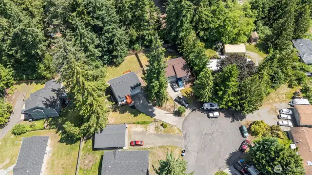 Neighborhood Aerial