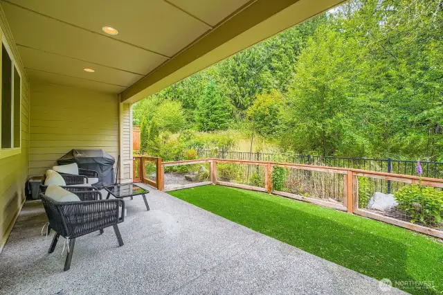 Back Yard Patio plenty of space for entertaining