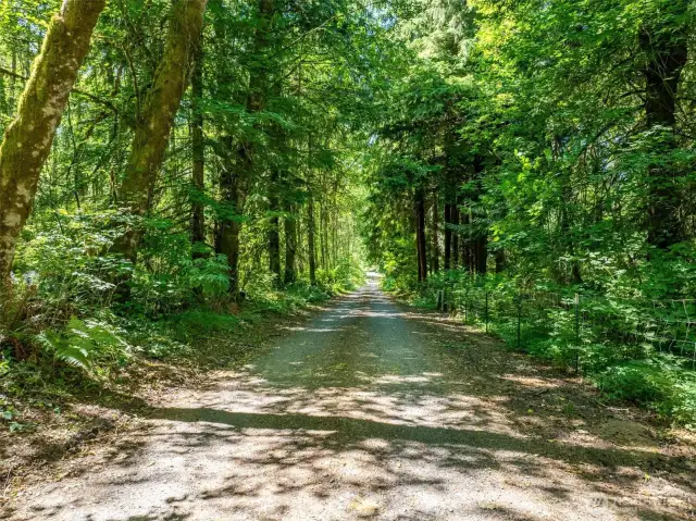 A serene, tree-lined gravel drive welcomes you home through a canopy of Pacific Northwest forest, setting the tone for peaceful rural living. Surrounded by towering trees and lush understory, this peaceful access road offers both seclusion and natural beauty as you approach the property. Enjoy the quiet of country life, where the only traffic is the occasional deer or birdcall. This inviting approach adds a sense of retreat and connection to nature—perfect for buyers seeking privacy, space, and a truly tranquil lifestyle.