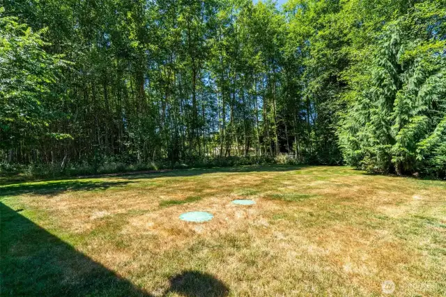 Expansive, private backyard surrounded by lush Pacific Northwest trees and a natural greenbelt buffer—perfect for those seeking space, serenity, and the beauty of country living. This flat, usable outdoor area offers endless potential for a future garden, fire pit, or simply enjoying peaceful moments in nature. Mature trees provide shade, privacy, and a picturesque forested backdrop. Whether you're envisioning outdoor entertaining, letting pets roam, or building your dream backyard oasis, this secluded setting offers the ideal canvas. Enjoy true rural tranquility just outside your door.