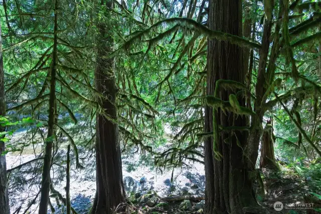 Access Skykomish River.