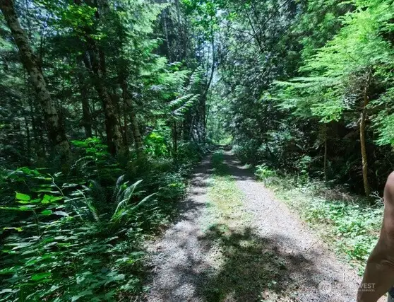 Primitive road.