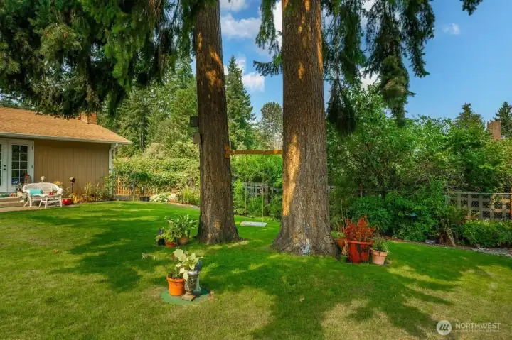 Sweet little swing hangs between these two trees. Such a fun little spot.