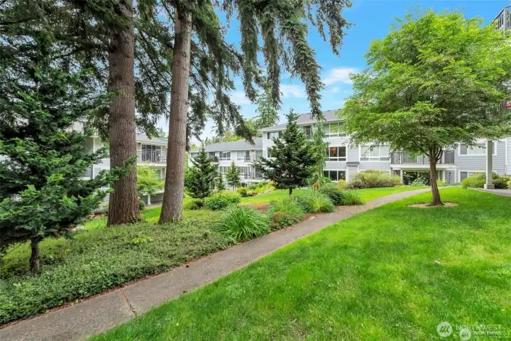 Heatherstone is a park-like community ideally set close to Bellevue's booming tech scene, endless restaurants, great coffee/tea shops, new light rail, and parks.