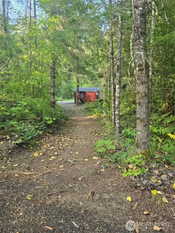 Driveway