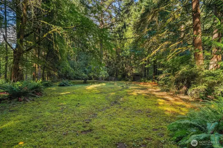 Looking northeast from the entry porch; the property has just enough clearing to feel spacious without sacrificing privacy.