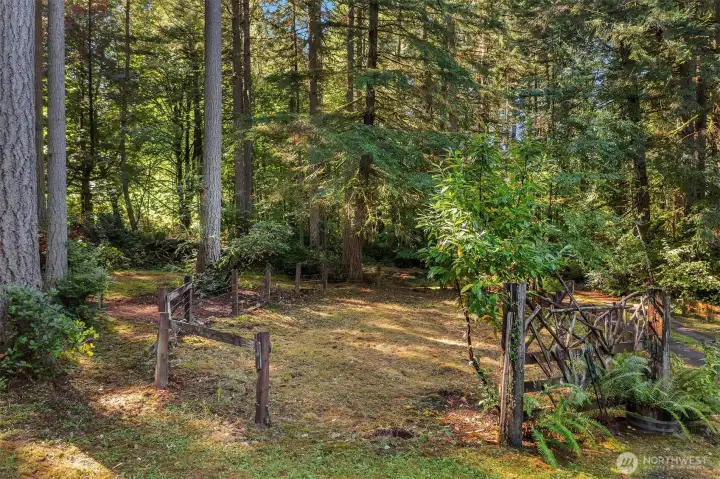 Rejuvenate this space for a garden or for pets.