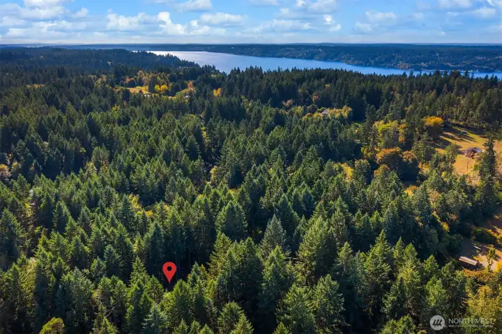 Home sits on the magical isle of Vashon; a retreat from the bustle of Seattle and Tacoma but within such easy reach of the cities, the mountains and the wider Puget Sound. Discover the possibilities!