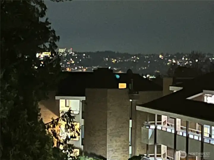 Take in glimpses of the sparkling city lights at night as you exit the elevator en route to this premium, top floor residence.