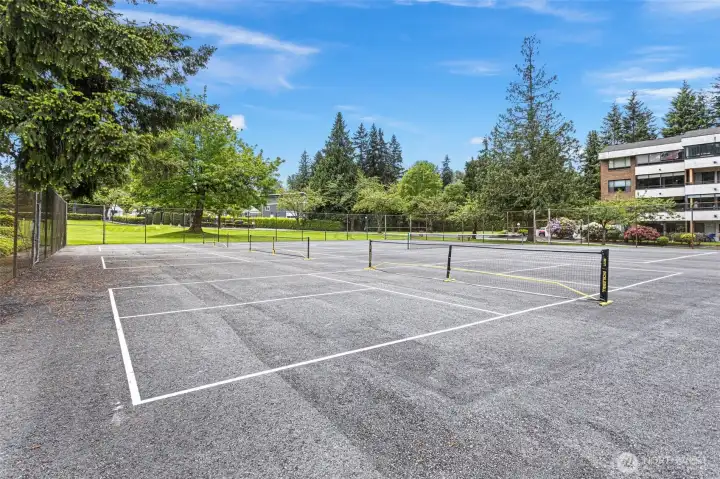Stay at the forefront of the active lifestyle trend with the pickleball courts! This latest addition joins the tennis courts and driving ranges adding to the condominiums unrivaled amenity package. At Glen Acres, you’re never far from green space—the sprawling lawn adjacent to the courts is just one of many pet-friendly areas to explore.