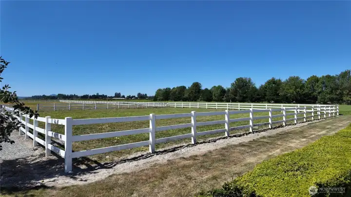 Fenced pasture