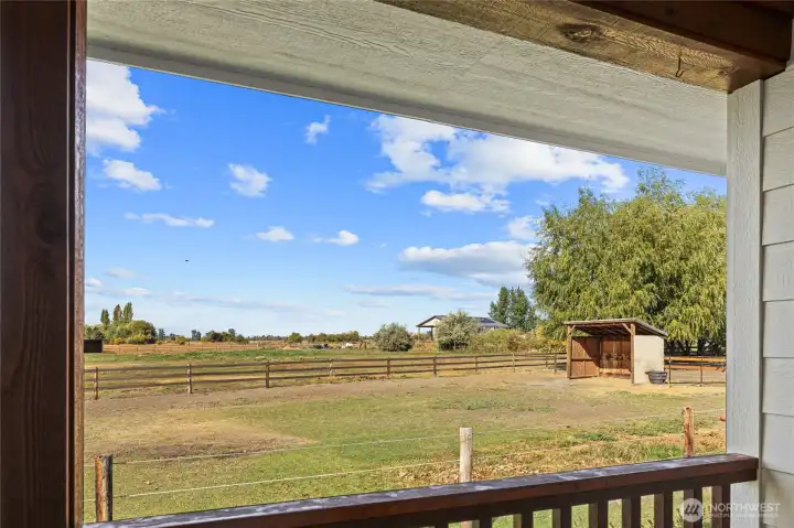 Front pasture with horse shelter