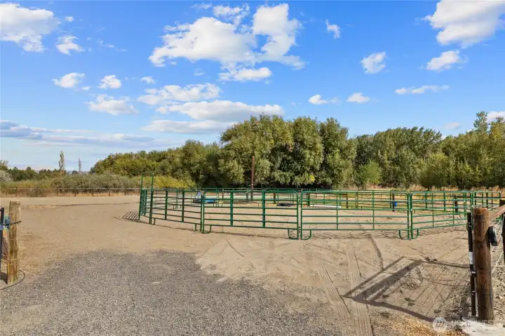 Round pen off next to the barn stall area.