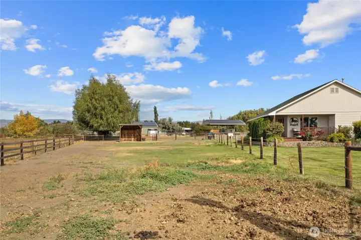 Front pasture with shelter
