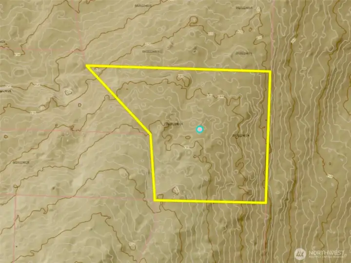 Contours with approximate boundaries in yellow.
