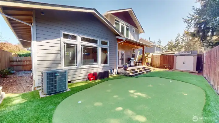 New turf! Low maintenance yard