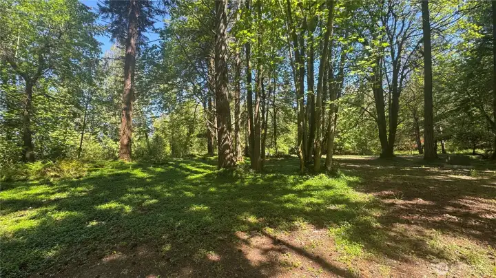 Build where the light plays, this sundappled lot offers a naturally bright and warm setting for your dream home.