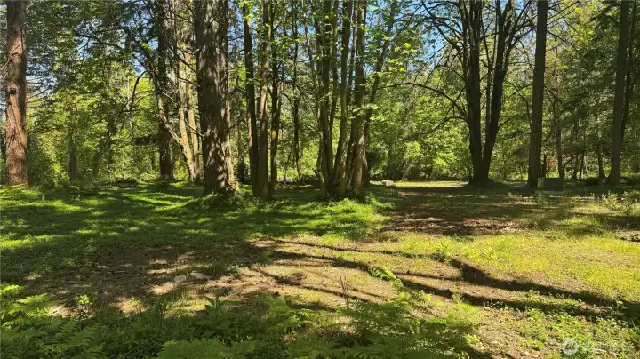 The perfect combination of trees and open space.