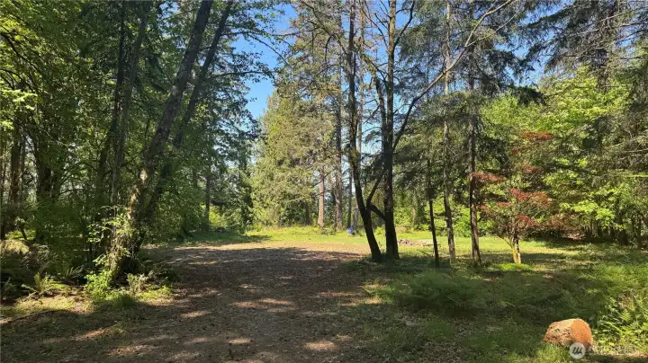 As you come out of the forest you arrive at a serene forest clearing.