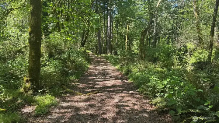 The access road less traveled leads to this amazing parcel.