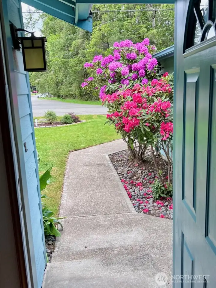 Walkway to your new front entrance!