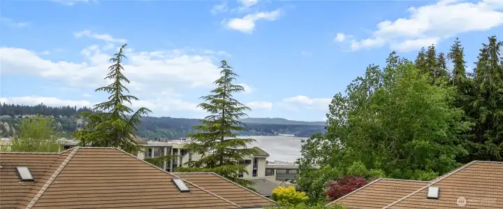 Overhead View