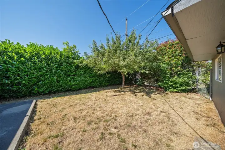 A private backyard with room to gather, garden, or simply enjoy the shade of an established apple tree. A private backyard with room to gather, garden, or simply enjoy the shade of an established apple tree.