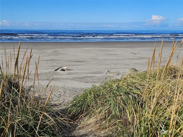 and leads to clams, kite flying and beach-combing!