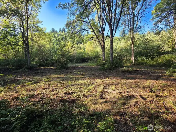 Cleared home site down among the trees