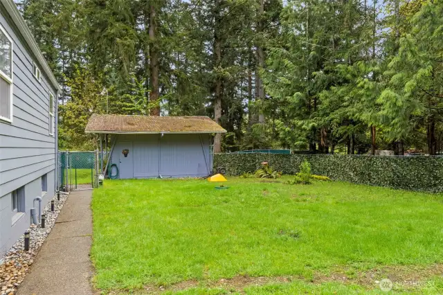 Great fenced yard