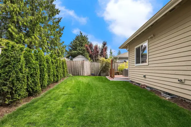 Recently redesigned backyard!