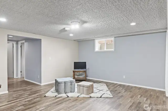 Lower Level Rec Room