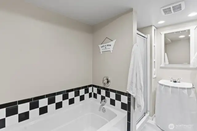 Lower Level Full Bathroom