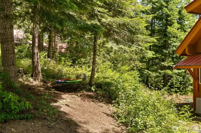 Chalet Side yard.