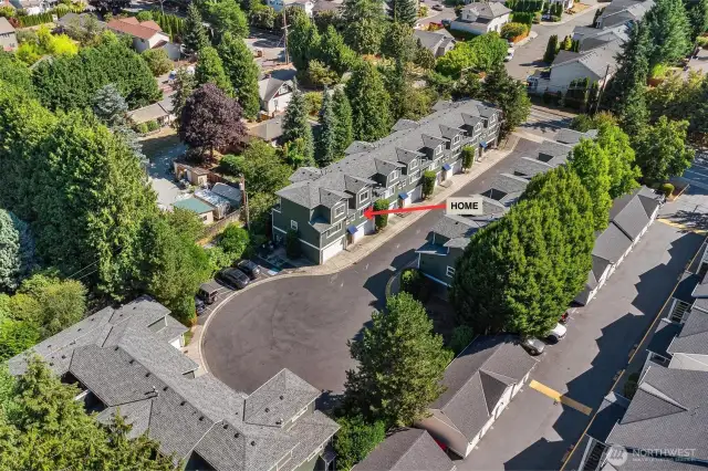 Walkable neighborhood connected to the Burke-Gilman Trail, perfect for outdoor enthusiasts.