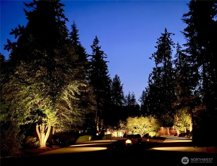 Entry lighting at dusk (and it continues into and throughout the backyard)