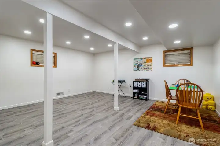 Basement Bonus Room