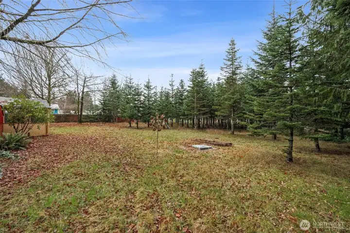 Backyard with Scenic View
