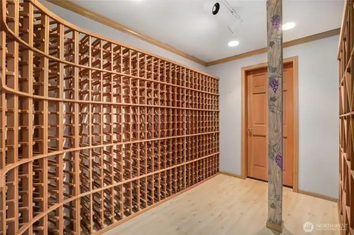 Lower level wine cellar