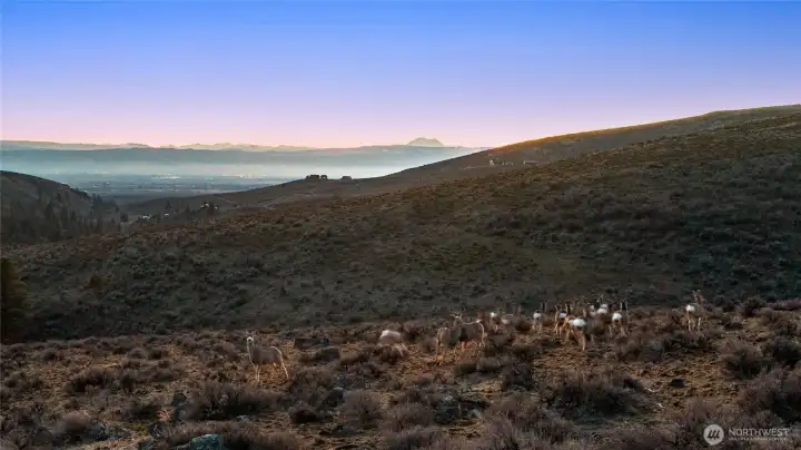 900 acre wild life conservancy - Secret Canyon