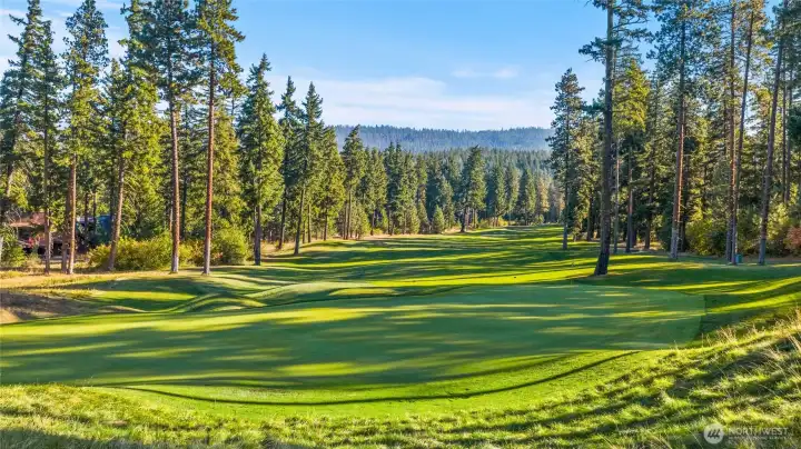 36 holes of world class golf.