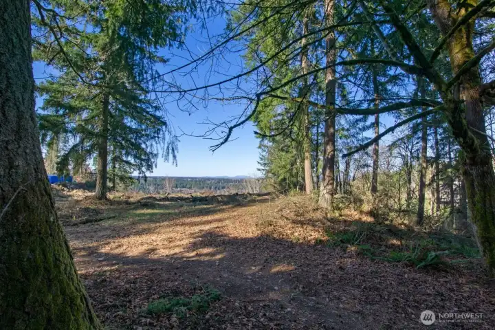 Beautiful views framed by the selective trees make this a beautiful canvas for your homesite.