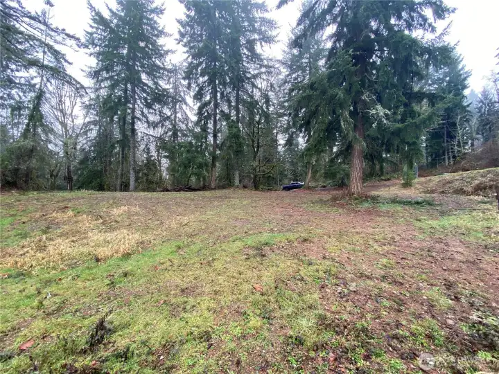 Photo taken when vegetation was freshly cut.